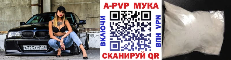 Альфа ПВП СК Лукоянов