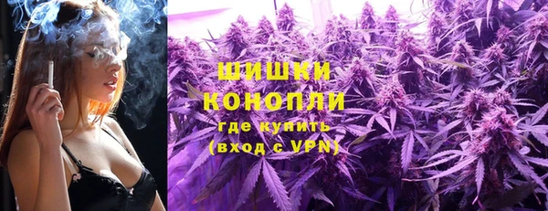 сатива Аркадак