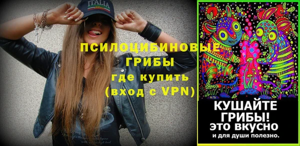 стафф Алексеевка